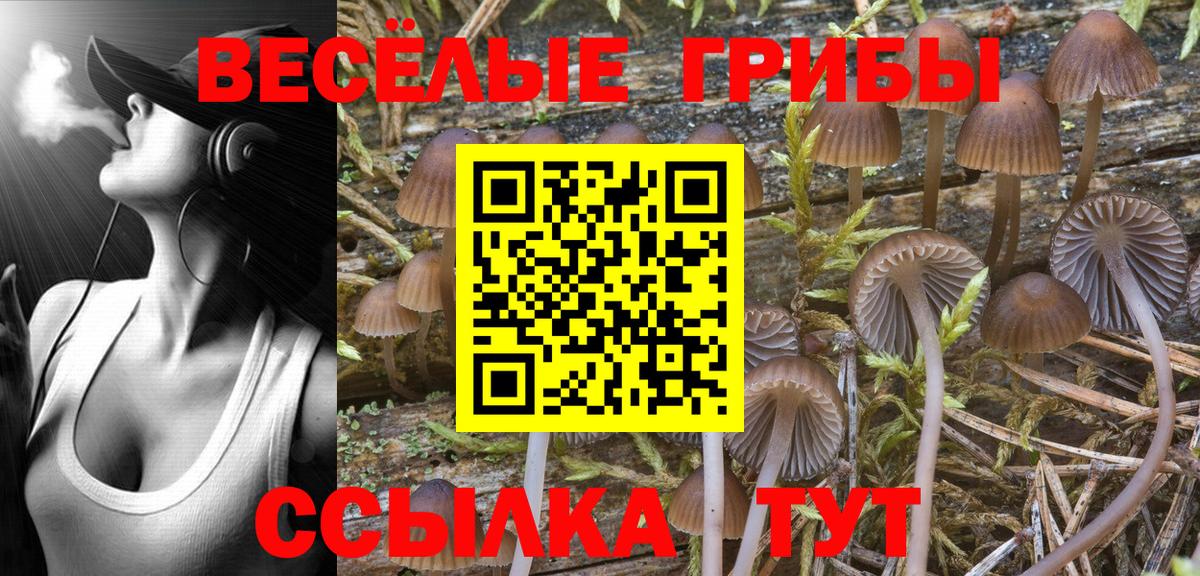 Лангепас  Галлюциногенные грибы Psilocybine cubensis  Псилоцибиновые грибы Psilocybine cubensis  Вход с VPN 